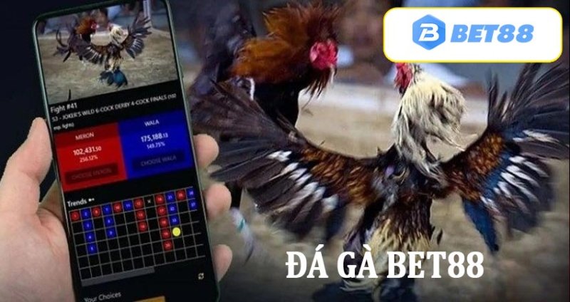 Cách chơi đá gà Bet88 rất là đơn giản